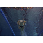 Product thumbnail 12 of 16