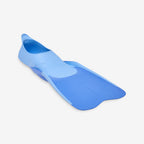 bleu flocon
