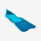 bleu paon