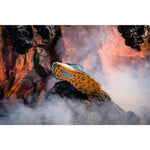 Product thumbnail 45 of 64