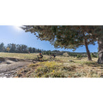 Product thumbnail 22 of 32