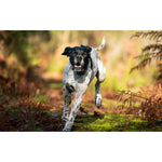 Product thumbnail 5 of 12