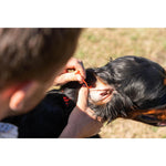 Product thumbnail 2 of 2