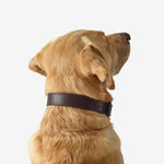 Product thumbnail 13 of 13