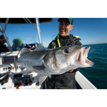 Product thumbnail 12 of 12