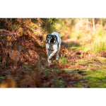 Product thumbnail 11 of 12