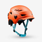 orange papaye
