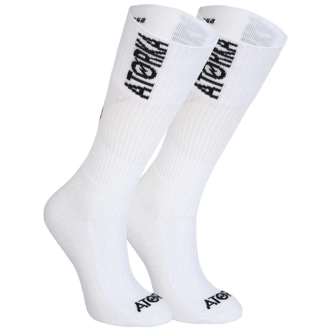 IMG_8529580_1