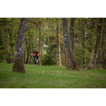 Product thumbnail 13 of 13