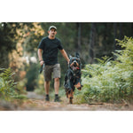 Product thumbnail 7 of 9