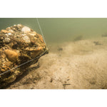 Product thumbnail 11 of 11