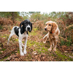 Product thumbnail 5 of 7