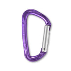 violet électrique
