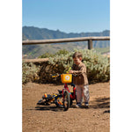 Product thumbnail 12 of 12