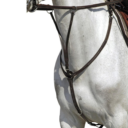 





Collier + martingale équitation cheval et poney ROMEO